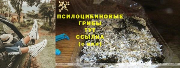 экстази Каменногорск