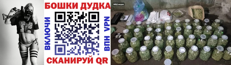 Бошки марихуана сатива  Купить где  Буйнакск 